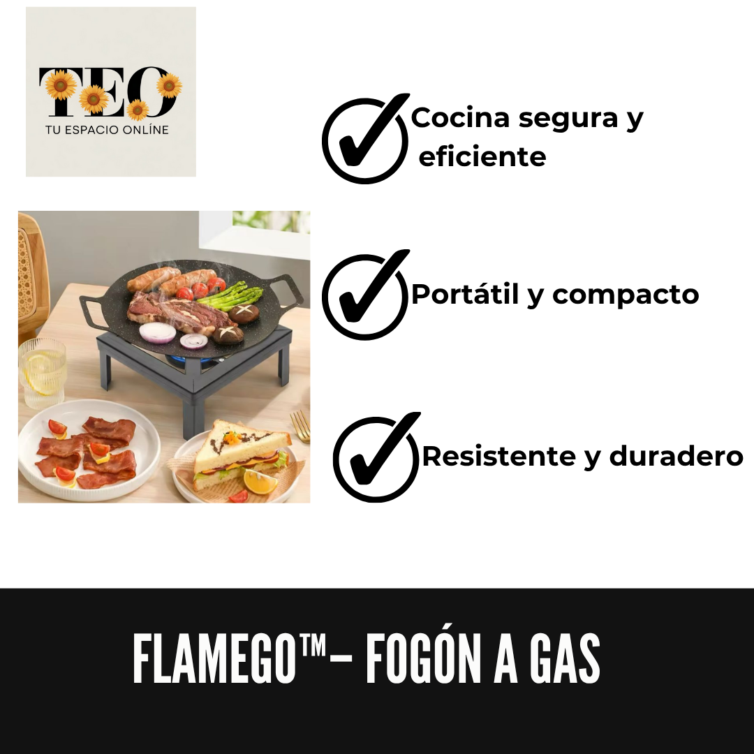 FlameGo™– Fogón a gas