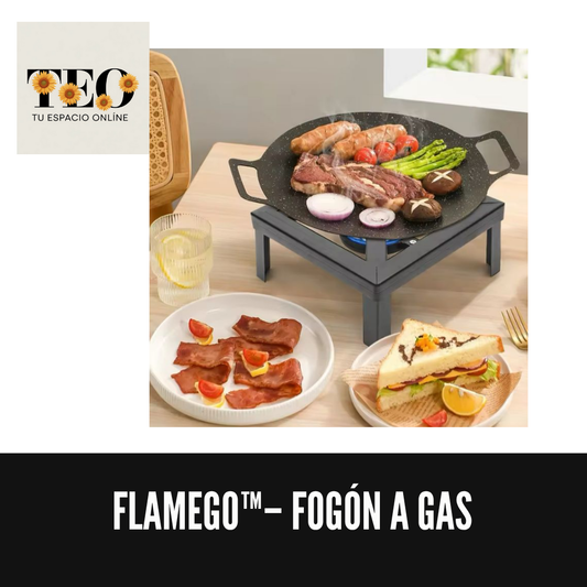 FlameGo™– Fogón a gas